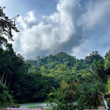 Charlys Little House Hotel Bukit Lawang Bagian luar foto