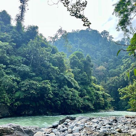 Charlys Little House Hotel Bukit Lawang Bagian luar foto
