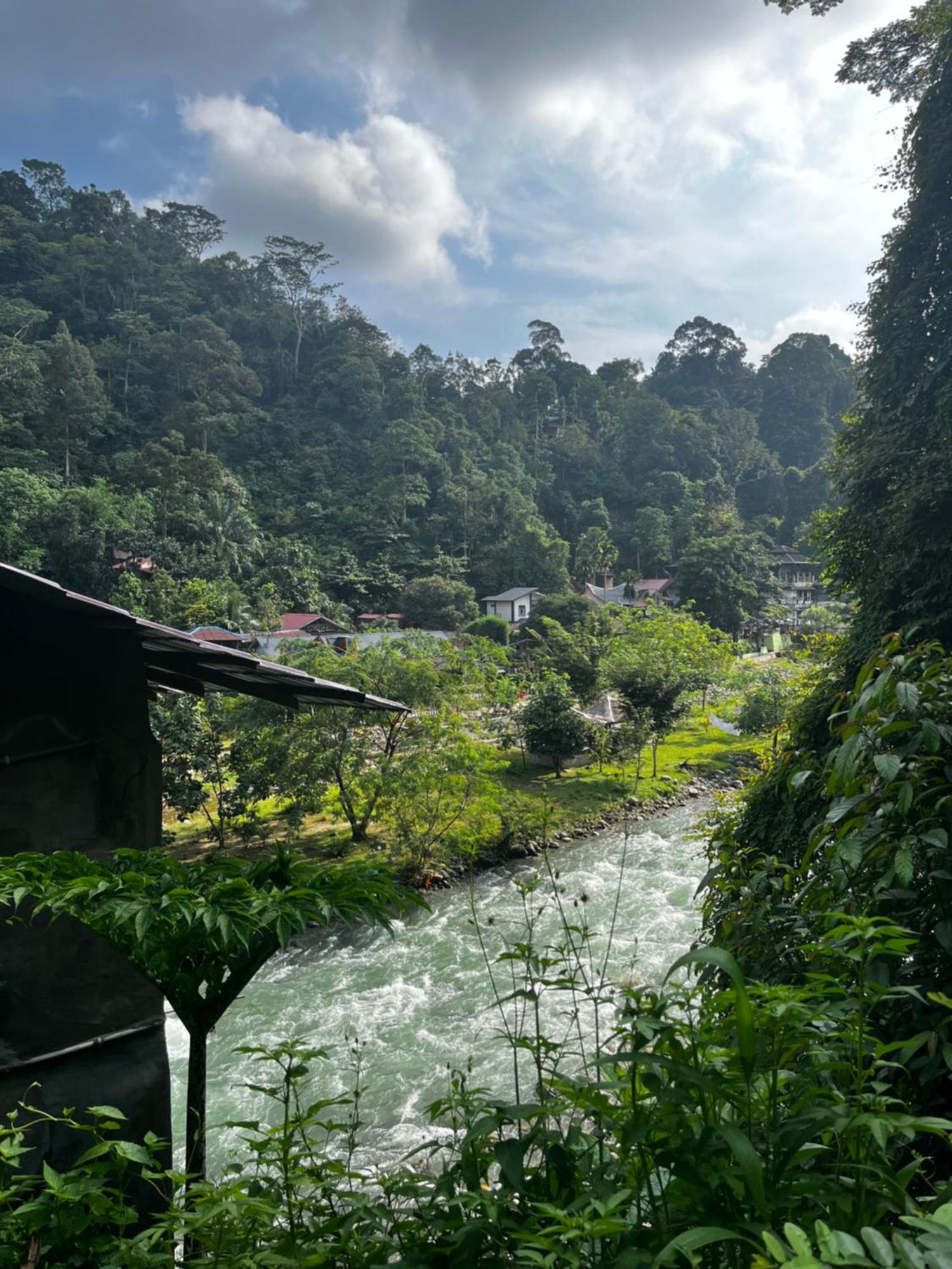 Charlys Little House Hotel Bukit Lawang Bagian luar foto