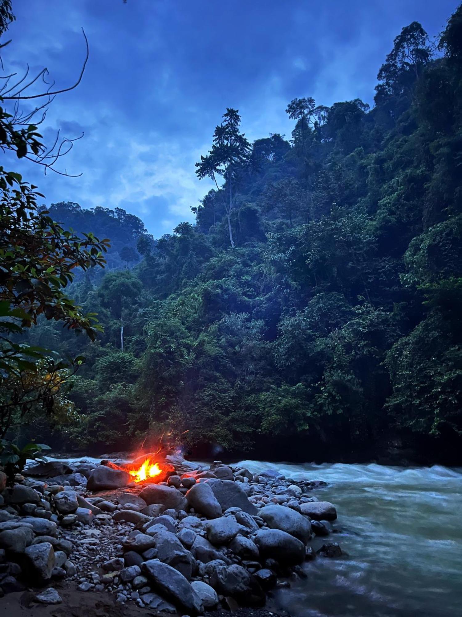 Charlys Little House Hotel Bukit Lawang Bagian luar foto