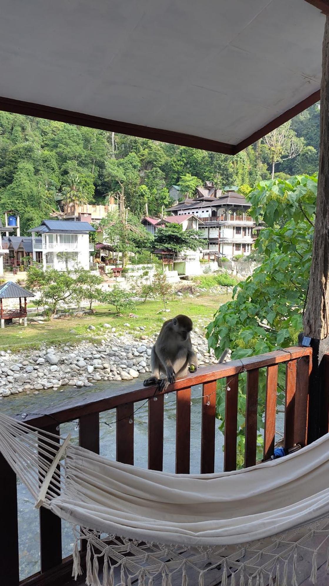 Charlys Little House Hotel Bukit Lawang Bagian luar foto
