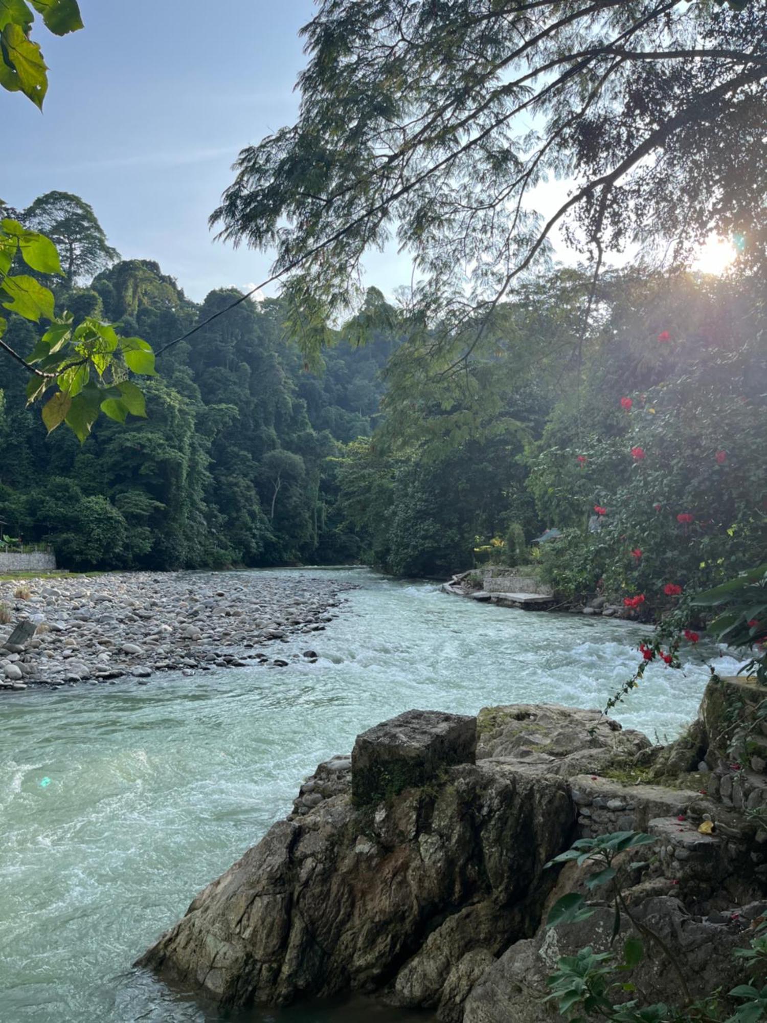 Charlys Little House Hotel Bukit Lawang Bagian luar foto