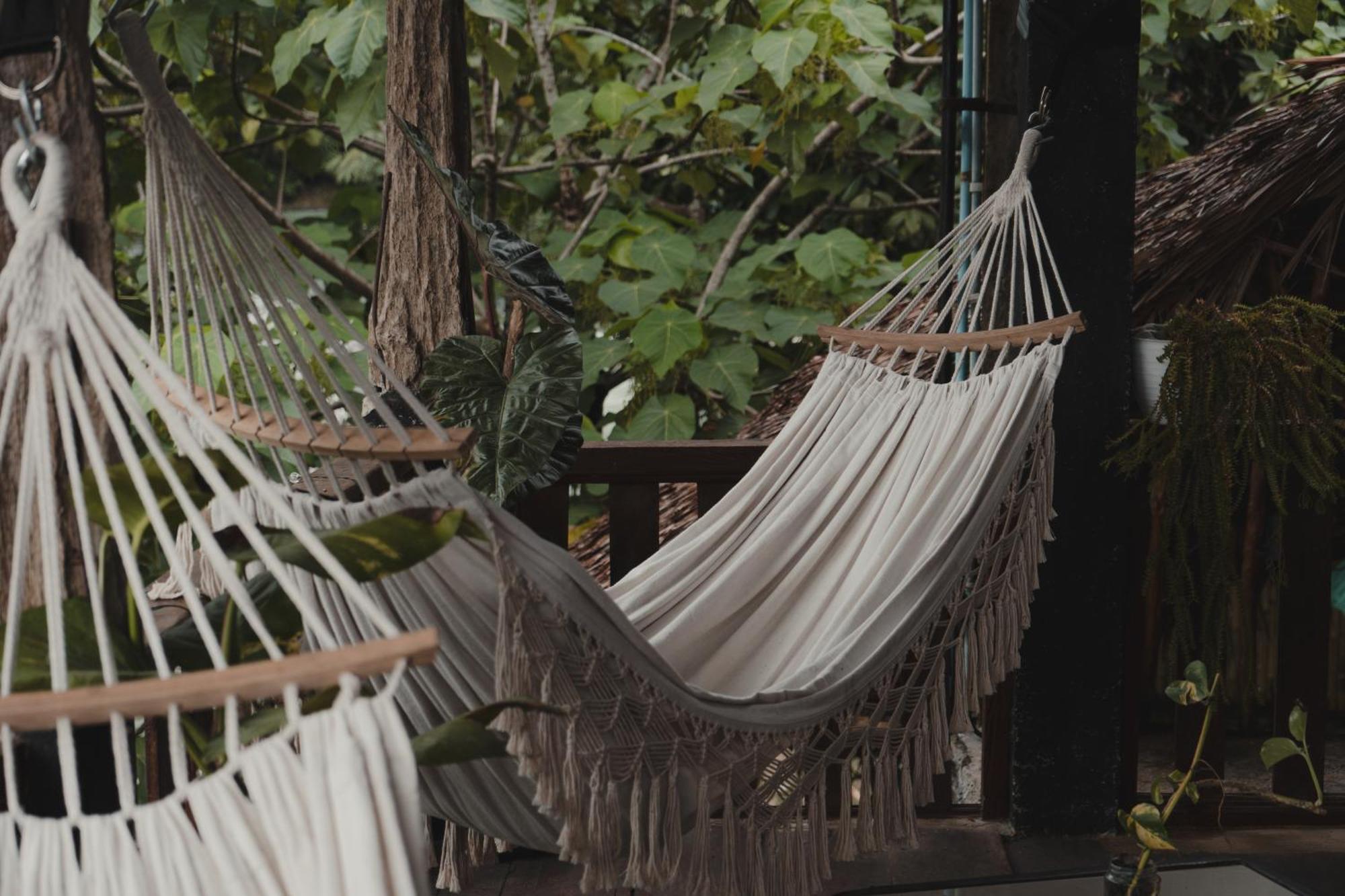 Charlys Little House Hotel Bukit Lawang Bagian luar foto