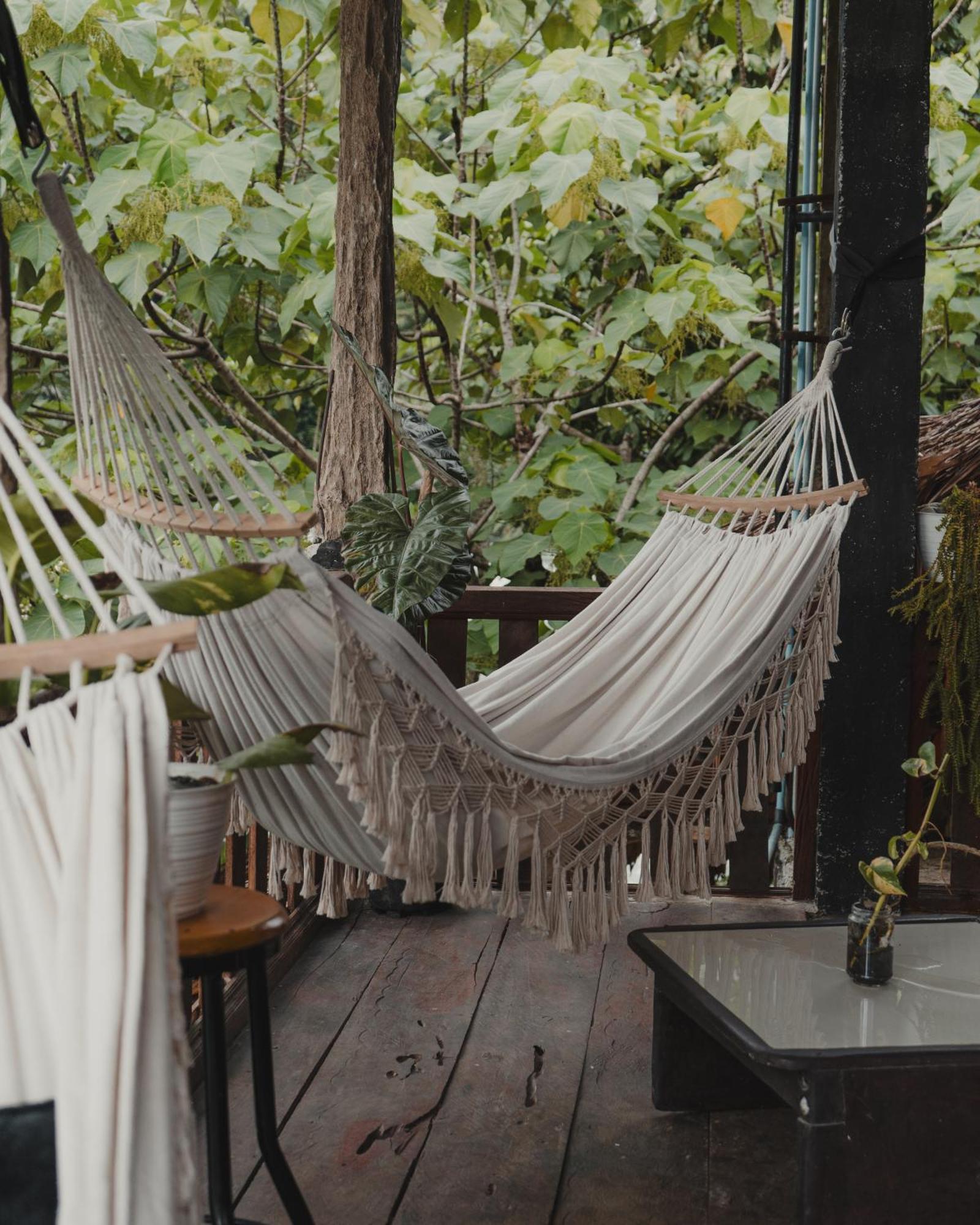 Charlys Little House Hotel Bukit Lawang Bagian luar foto