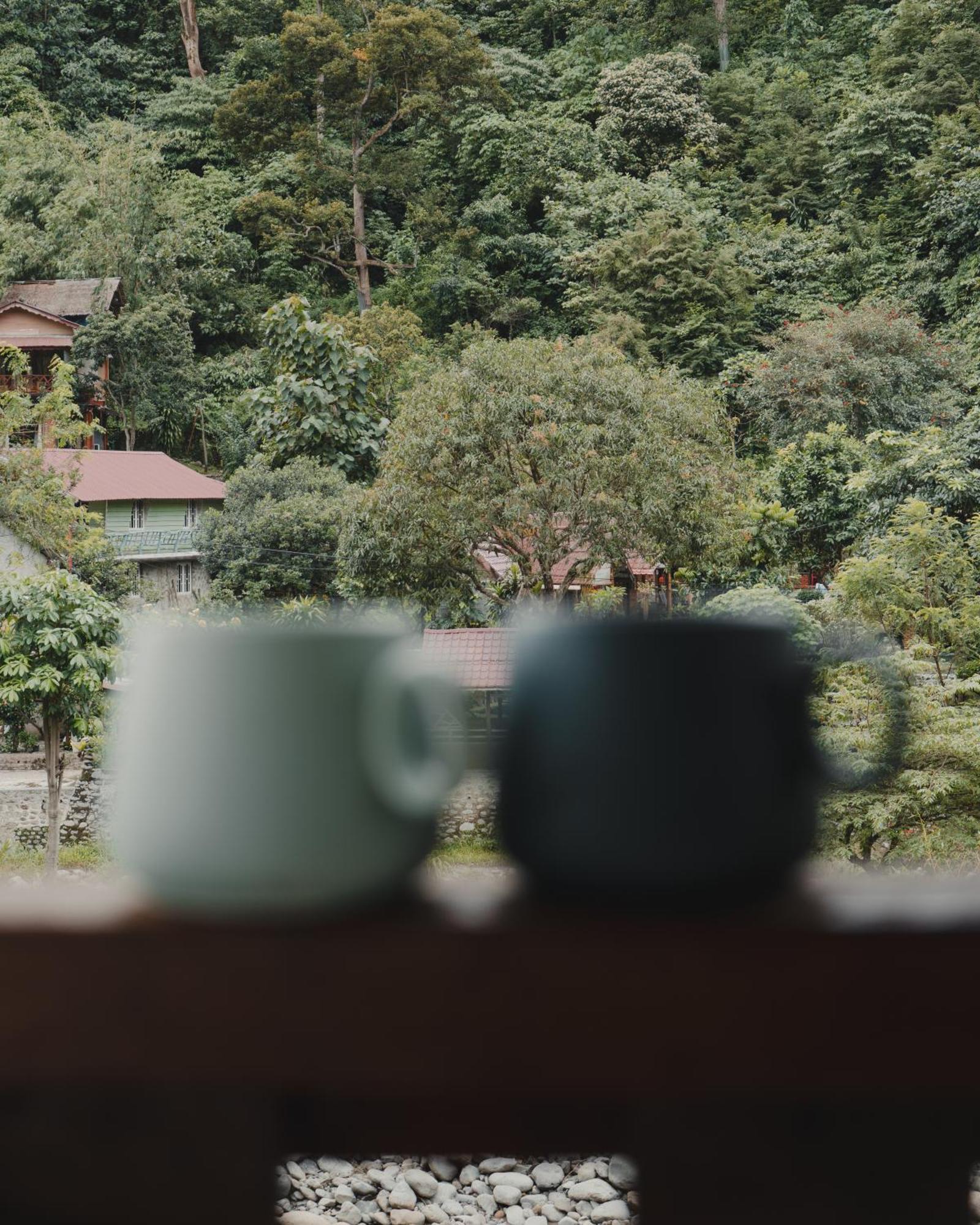 Charlys Little House Hotel Bukit Lawang Bagian luar foto