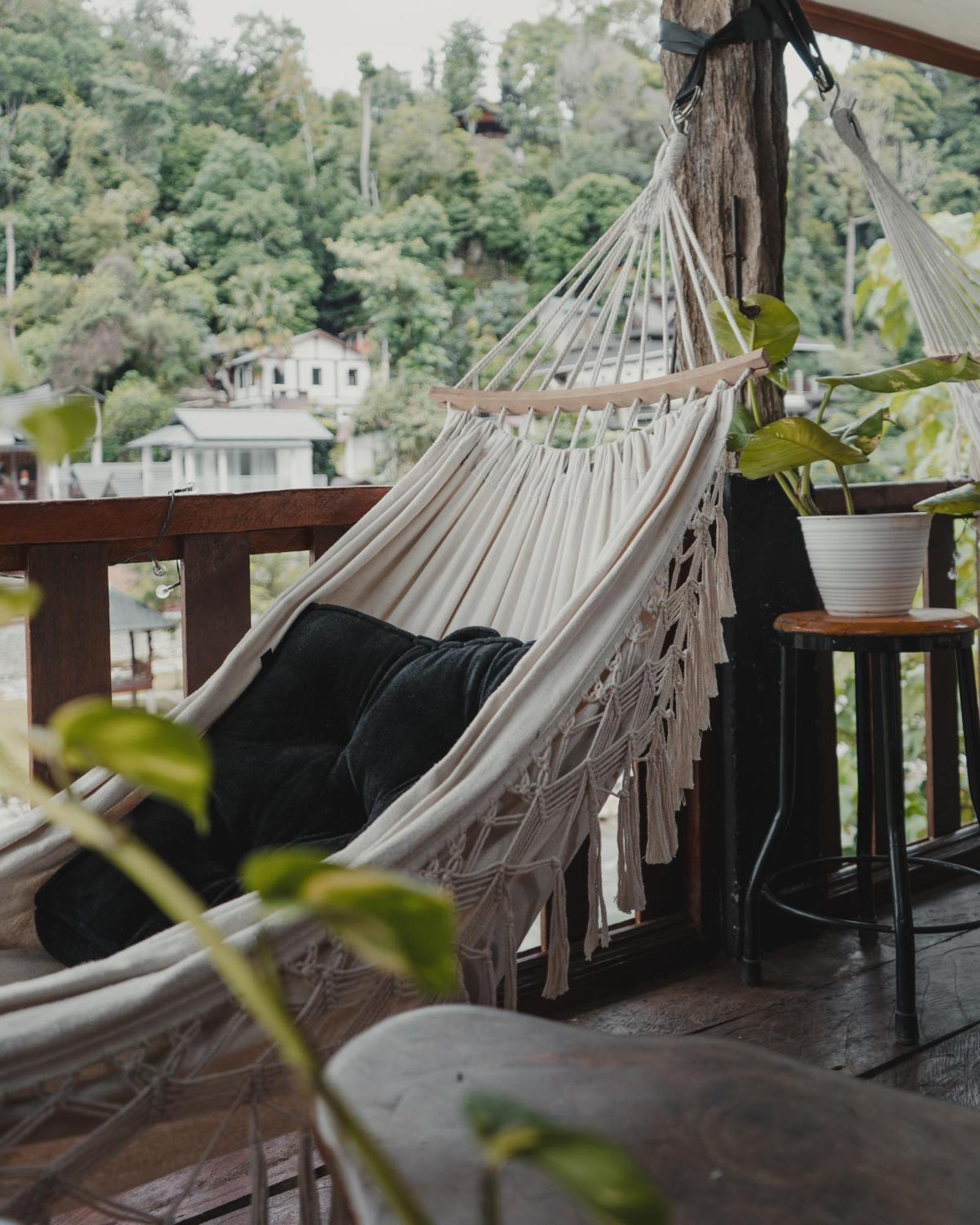 Charlys Little House Hotel Bukit Lawang Bagian luar foto